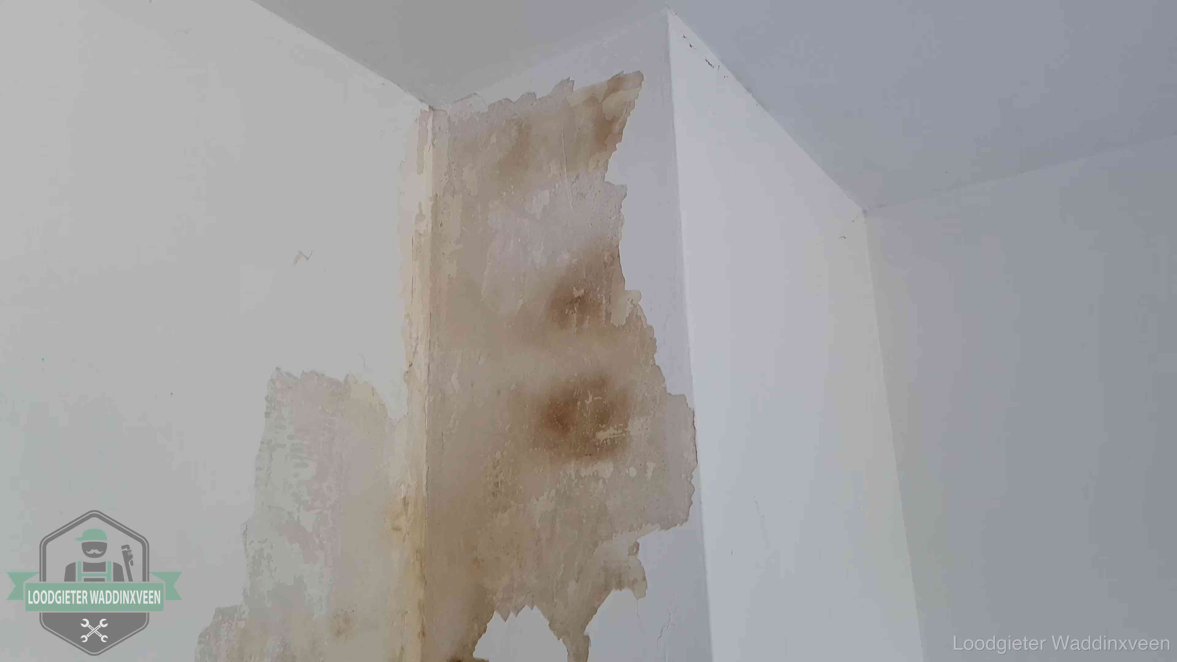 Daklekkage herkennen in Waddinxveen Bruine vochtkringen en afbladderend stucwerk op een binnenmuur in Waddinxveen, een eerste teken van daklekkage