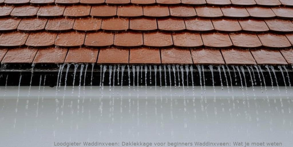 Daklekkage Voor Beginners Waddinxveen