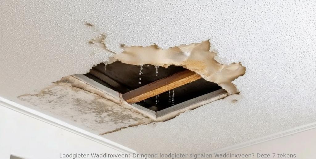Dringend Loodgieter Signalen Waddinxveen