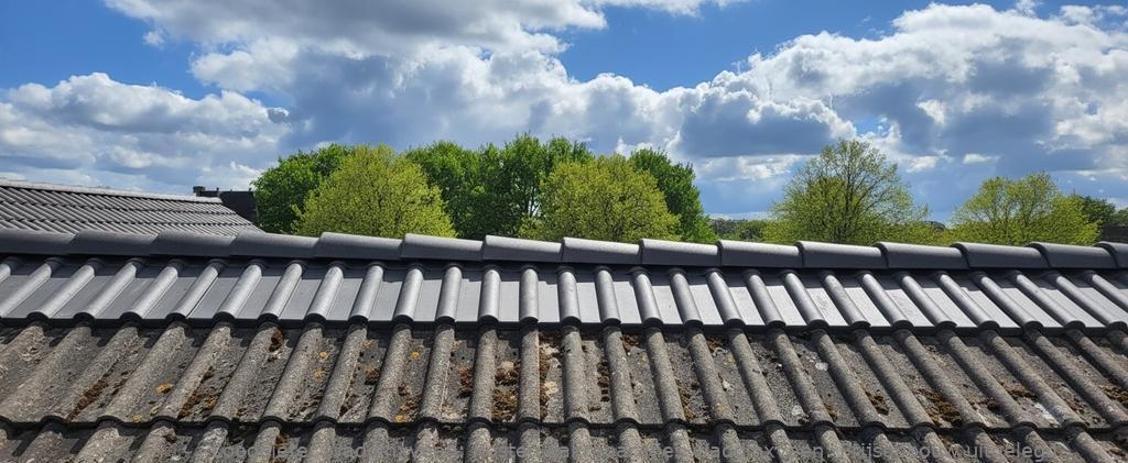Kosten Dakreparaties Waddinxveen
