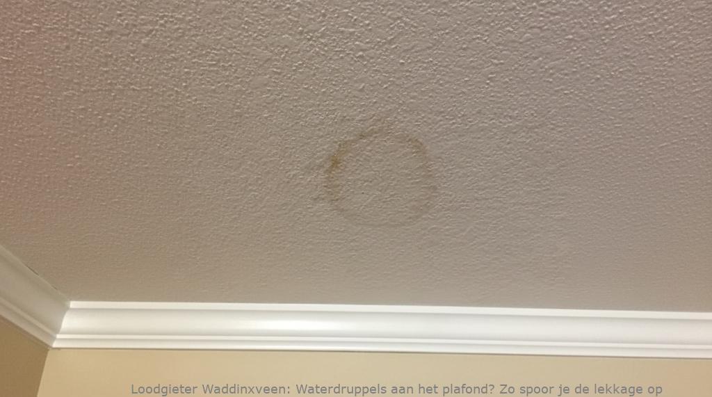 Lekkage Plafond Waddinxveen
