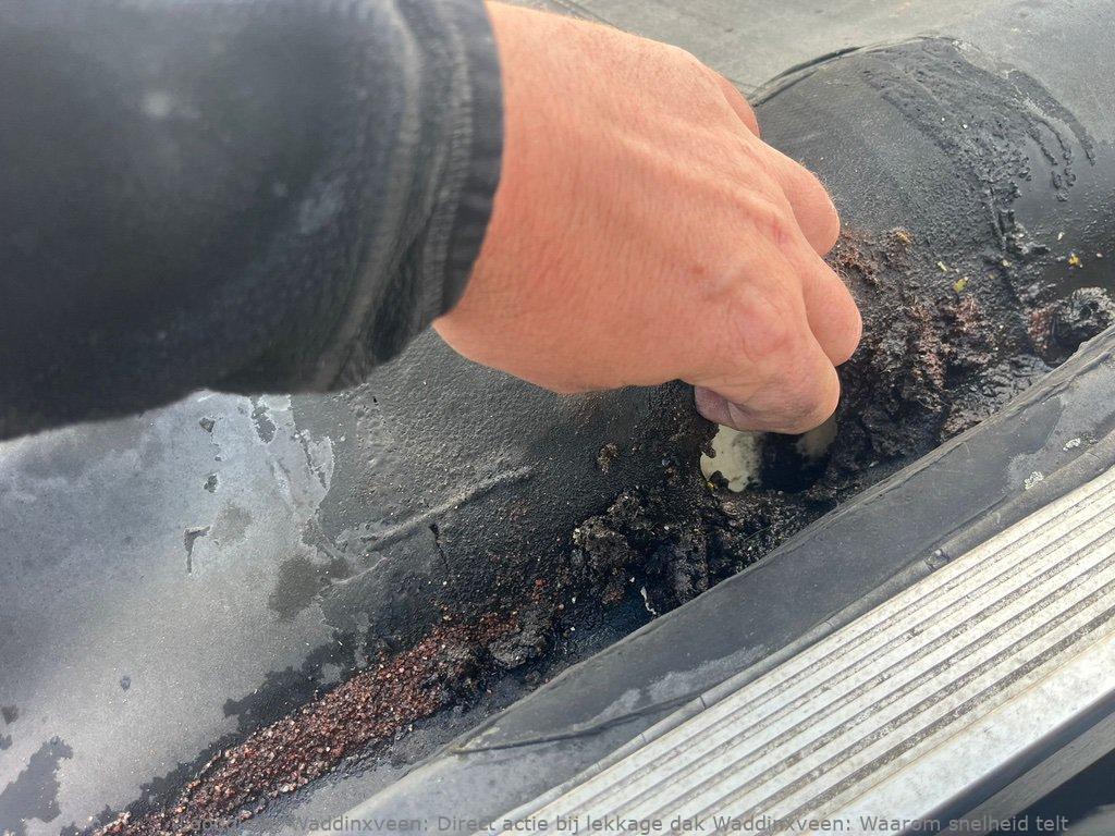 Lekkage Plat Dak Waddinxveen