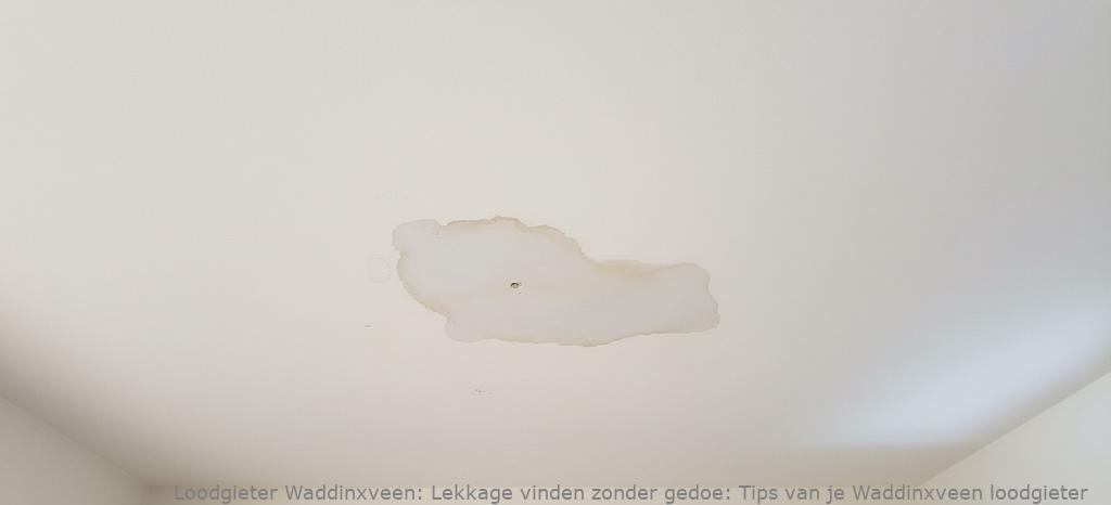 Lekkage Vinden Waddinxveen