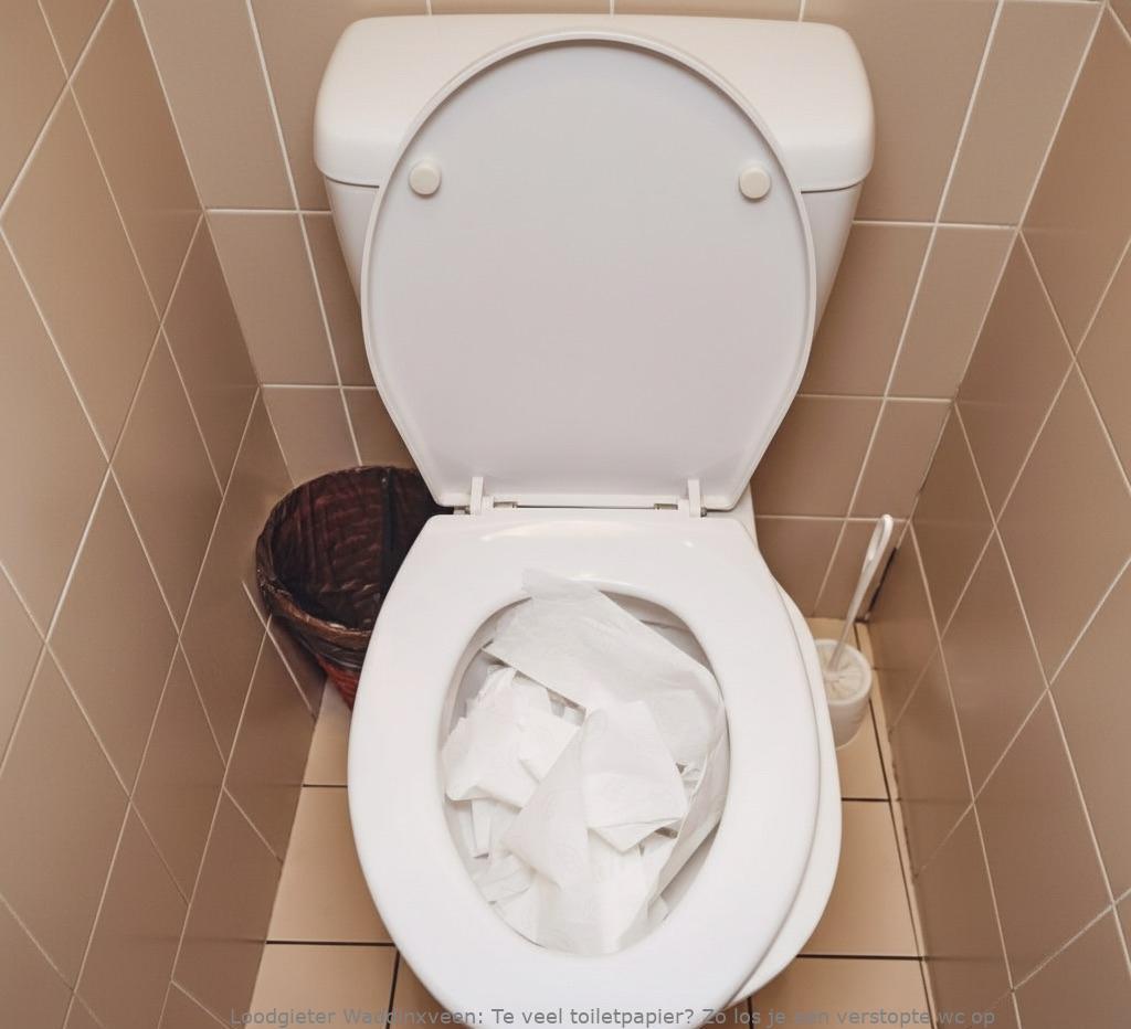 Te Veel Toiletpapier Oplossing Waddinxveen