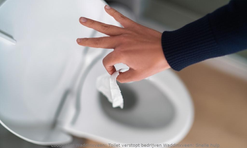 Toilet Verstopt Bedrijven Waddinxveen