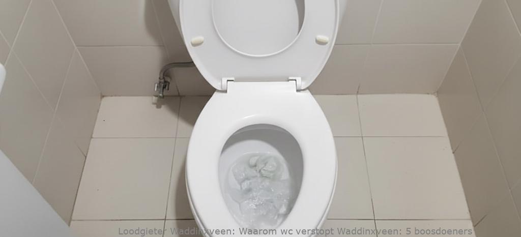 Waarom Wc Verstopt Waddinxveen
