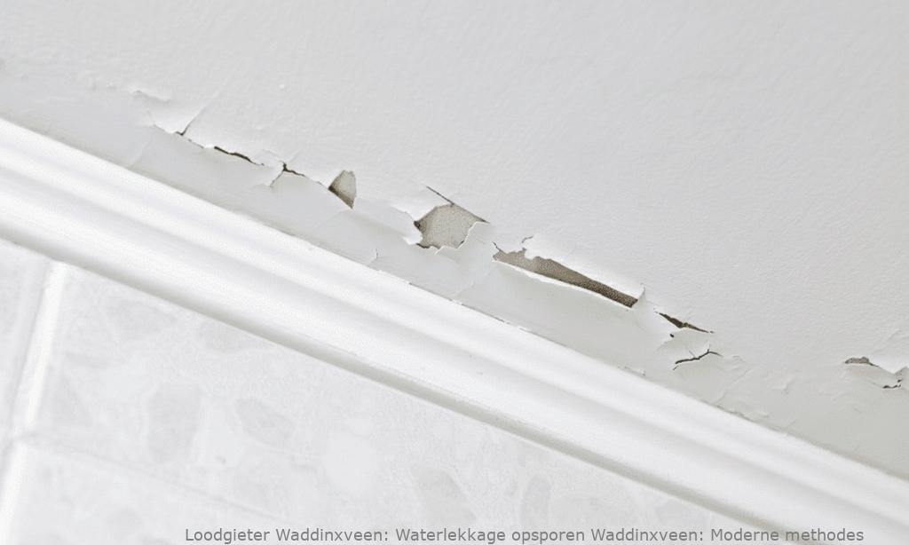Waterlekkage Opsporen Waddinxveen